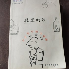 鞋里的沙-小毛病中的大问题