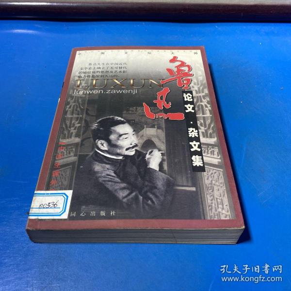 鲁迅作品选：小说·散文集 论文·杂文集