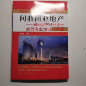 商业地产实战丛书·问鼎商业地产：商业地产从业人士实战专业知识一本通