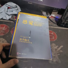 感觉：相信自己的感觉，找回你的人生 【 201 2年1 版1 印 、品相不 错】