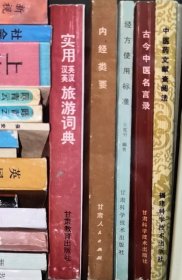 实用 英汉汉英 旅游词典