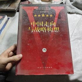 中国走向与战略构想:三