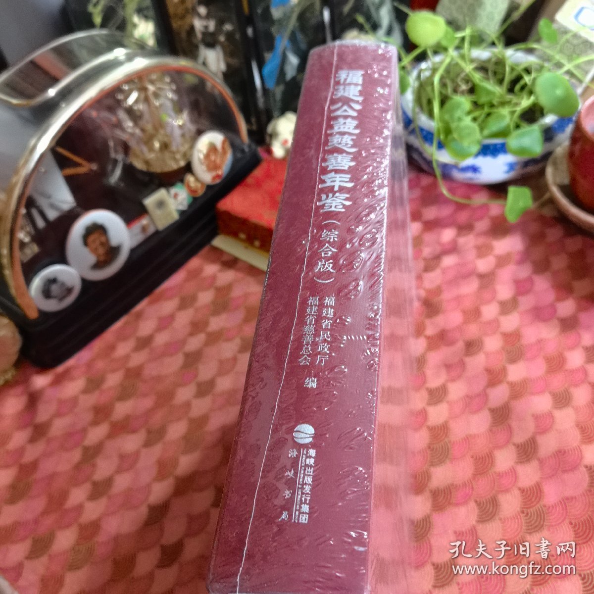 福建公益慈善年鉴综合版