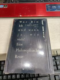我是谁？：如果有我，有几个我？未开封