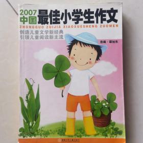 2007中国最佳小学生作文