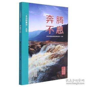 “永远的黄河”丛书-奔腾不息