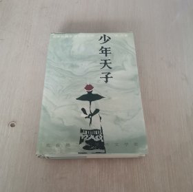 少年天子 精装本 北京长篇小说创作丛书