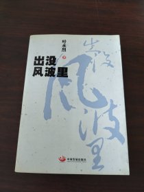 出没风波里