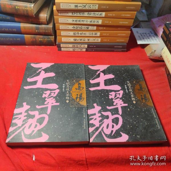 大明名妓王翠翘（上下册）