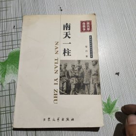 中国现代军事文学丛书·国内革命战争：南天一柱