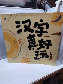 汉字真好玩机关书（上下）