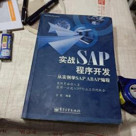 实战SAP程序开发：从实例学SAP ABAP编程