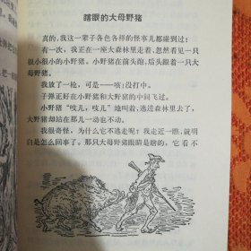 吹牛大王历险记