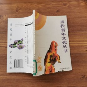 当代青年文化丛书 灯会