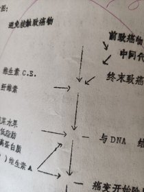 膳食与癌症 油印本 癌症与 主要污染物 比如 水源污染 洗漱用品污染 食品添加剂 食物固有成分 癌症与免疫力 与基因突变 与生活方式 与吃的食物变质 如霉菌毒素 生活厨房 板 碗 筷子 都有百分百关系 多学习癌症老资料能起到预防作用（可出售影印件）