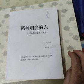 精神明亮的人 王开岭散文随笔自选集