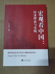 宏观看中国：经济理论与实践