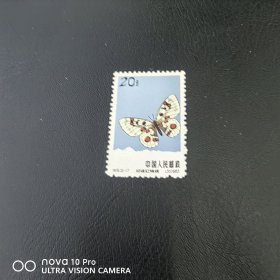 特56-17 蝴蝶邮票新票散票 纪特五朵金花之一！非常精美！包邮！全品 收藏