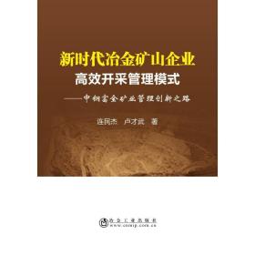 新時代冶金礦山企業(yè)高效開采管理模式:中鋼富全礦業(yè)管理創(chuàng)新之路 冶金、地質(zhì) 連民杰,盧才武 新華正版