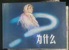 为什么（上美大精）