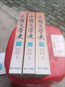 中国文学史（上中下）