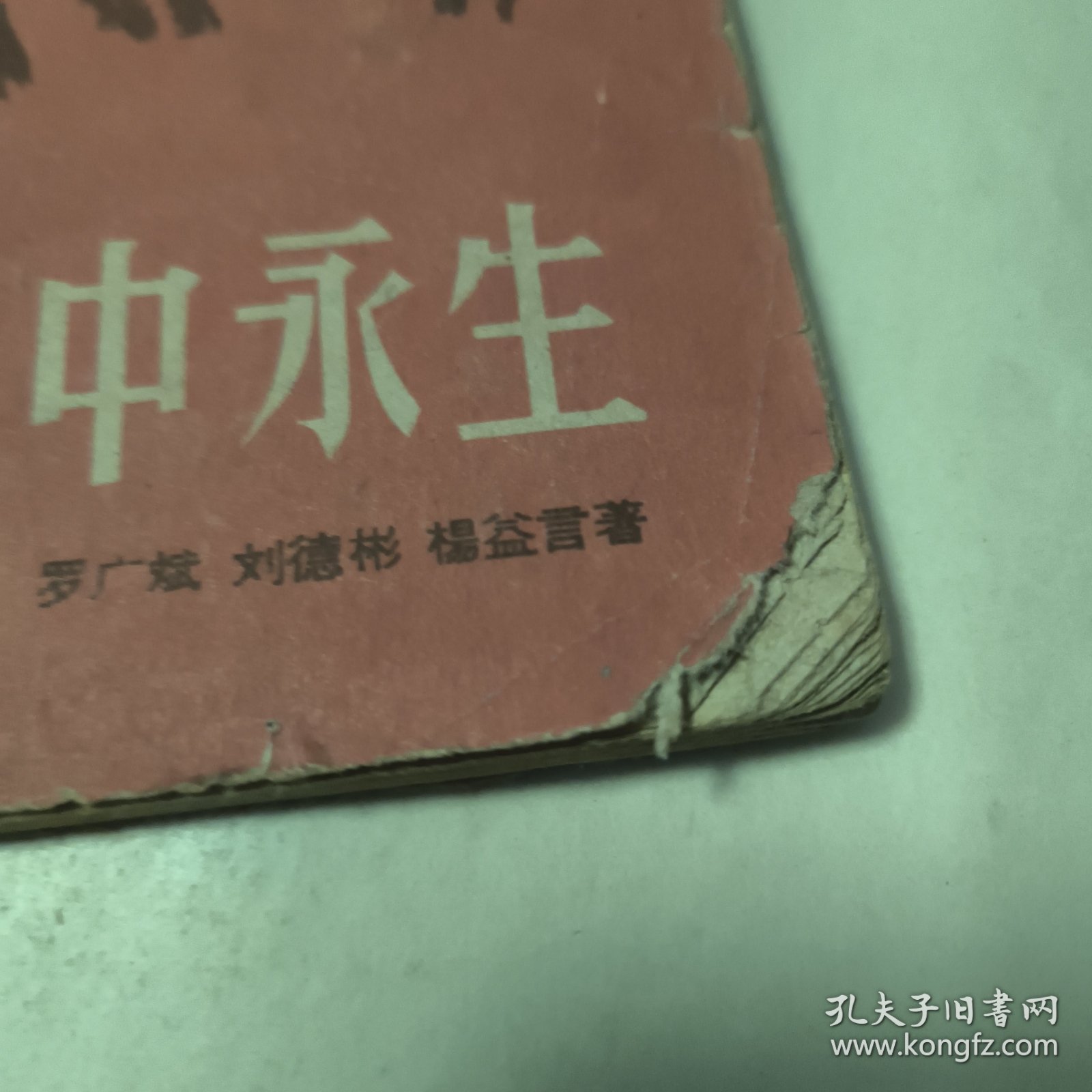 在烈火中永生