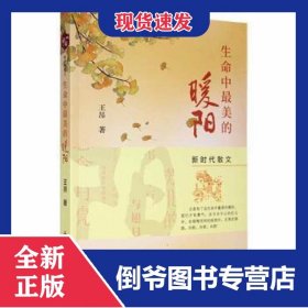 生命中最美的暖阳 9787547740811