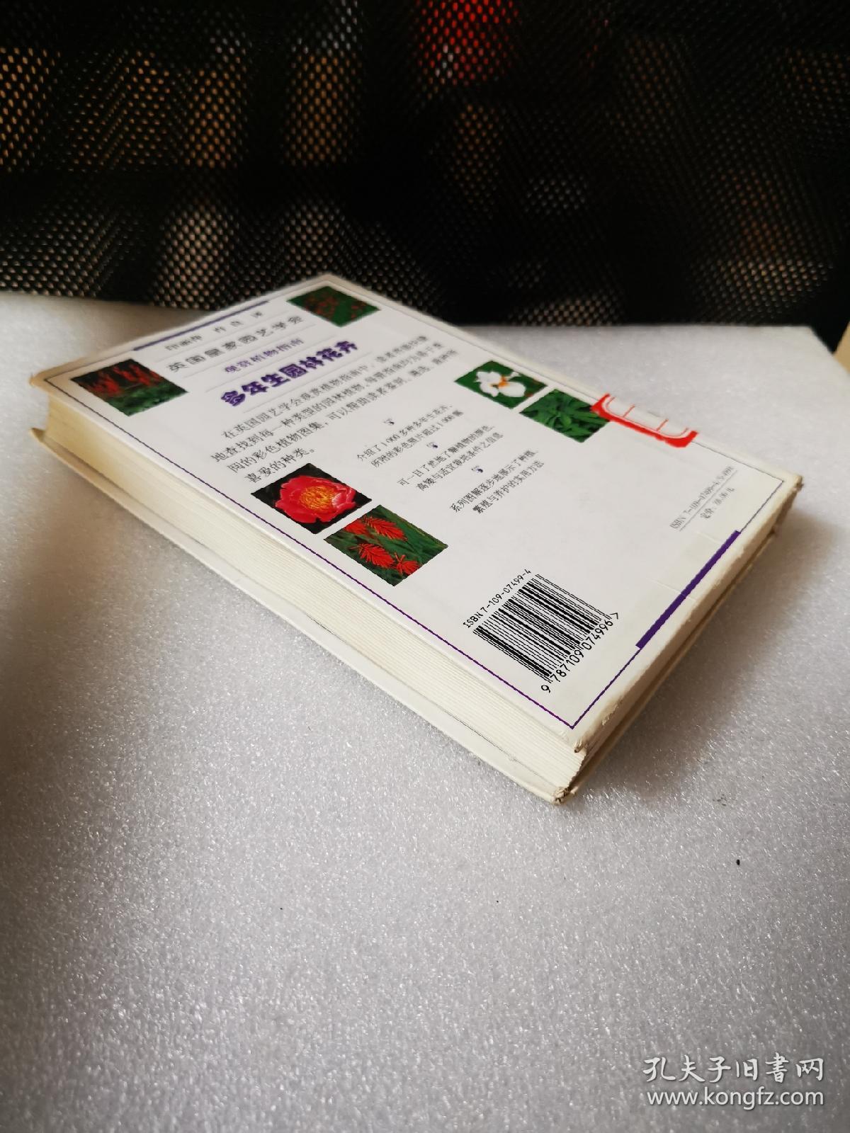 多年生园林花卉