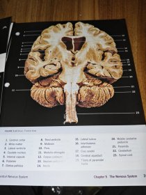 a photographic atlas for anatomy&physiology（解剖学和生理学的摄影图集）