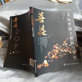 文玩菩提子把玩与鉴赏