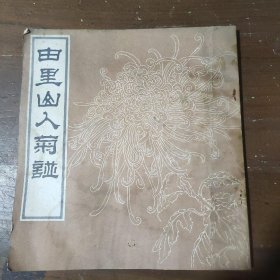 由里山人菊谱缪谷瑛9787534058493