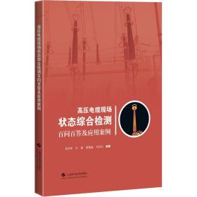 高压电缆现场状态综合检测百问百答及应用案例