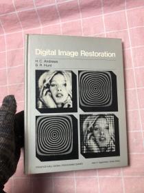 Digital lmage Restoration