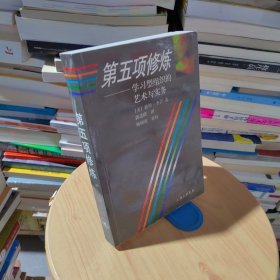 第五项修炼：学习型组织的艺术与实务