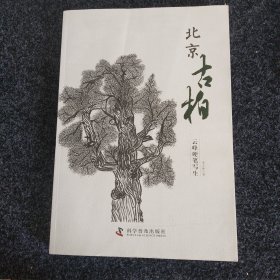 北京古柏 : 云峰硬笔写生画