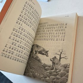 动物小说大王沈石溪：狼妻（注音读本）