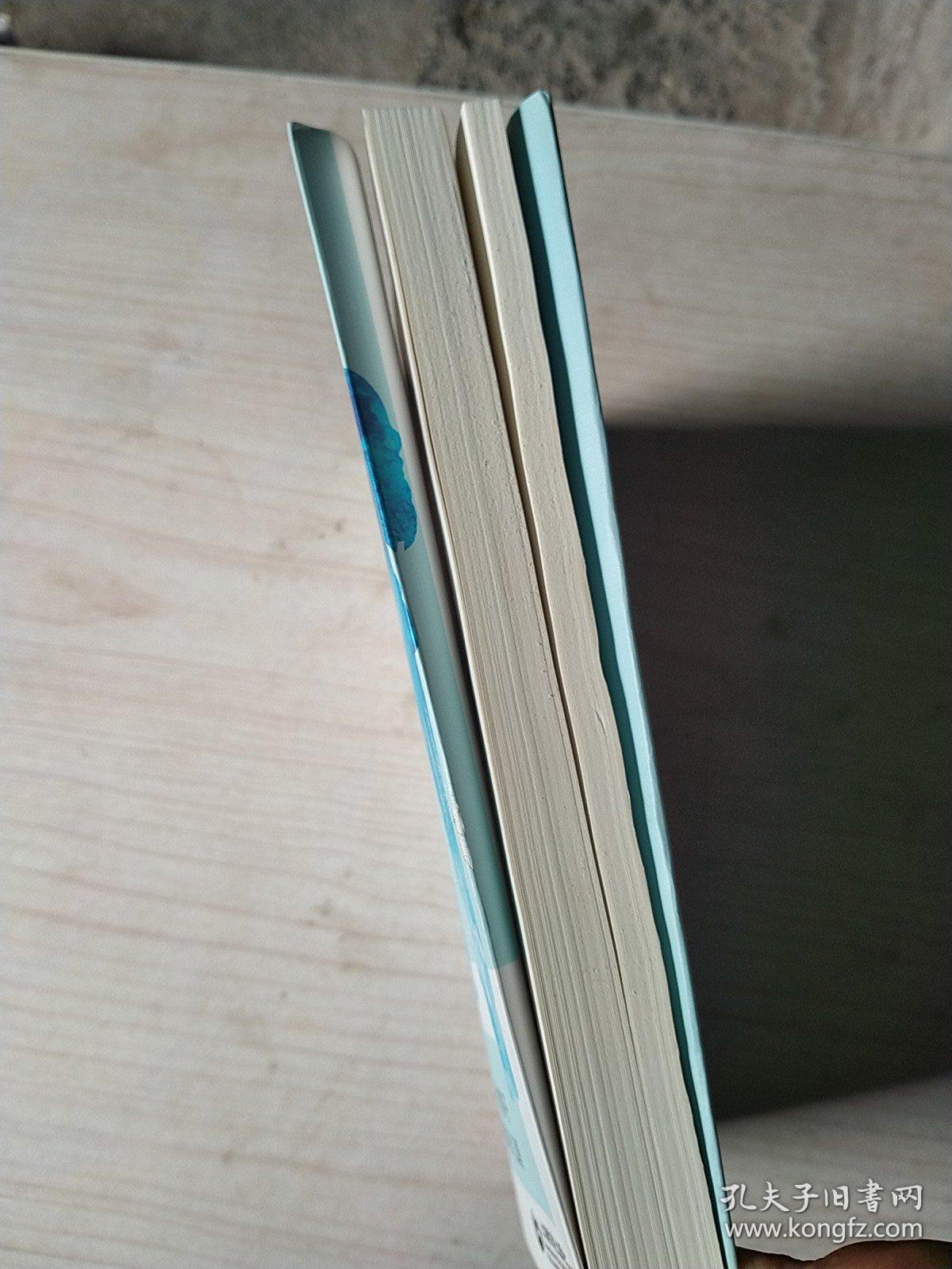 孩子，你怎么了——儿童、青少年心理问题解答