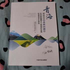 青海祁连山山水林田湖草生态修复重大工程组织实施和绩效评价研究