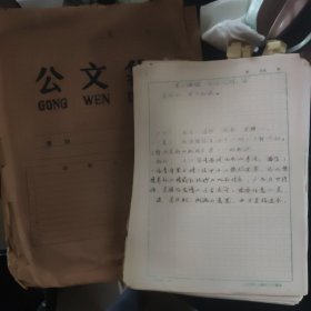 出版书稿【处世名言】用北京师范大学古籍研究所稿纸300多页