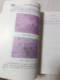 现代神经内科学