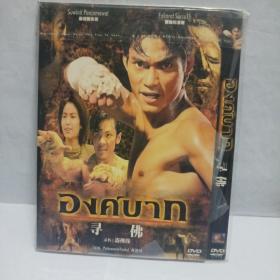 盗佛线DVD