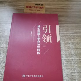 引领——推动构建人类命运共同体