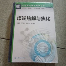 煤炭清洁转化技术丛书--煤炭热解与焦化