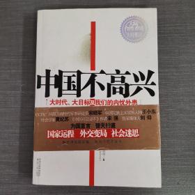 中国不高兴：大时代大目标及我们的内忧外患