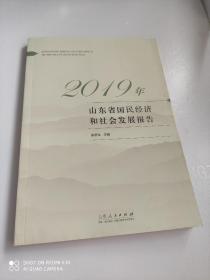 2019年山东省国民经济和社会发展报告