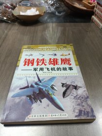 兵器世界奥秘探索·钢铁雄鹰：军用飞机的故事