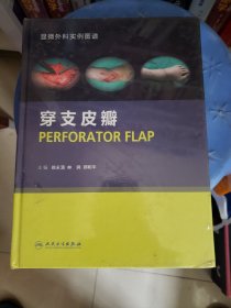 显微外科实例图谱：穿支皮瓣（精装版）