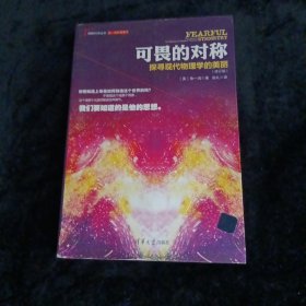 可畏的对称：探寻现代物理学的美丽