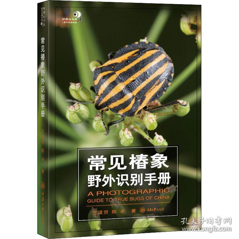 常见椿象野外识别手册 生物科学 王建赟,陈卓 新华正版