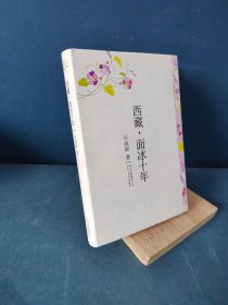 西藏，面冰十年